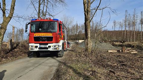 Leinsatz In Waldgebiet Freiwillige Feuerwehr Goslar