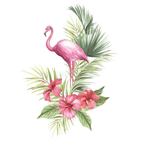 Flamingo Mit Tropischen Blumen Und Blatt Aquarellillustration Des