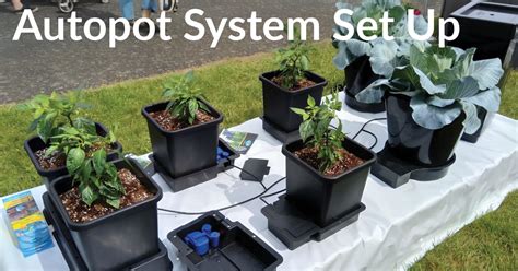 Pot Autopot System Set Up Progrow Hydroponics