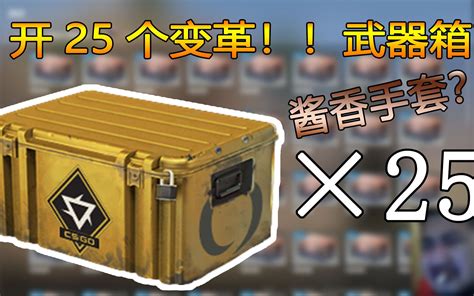 【csgo开箱】开25个变革武器箱能出啥？出了酱香手套？？ Csgo小埋 Csgo小埋 哔哩哔哩视频