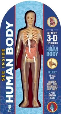 See Inside The Human Body By Anna Claybourne Alibris