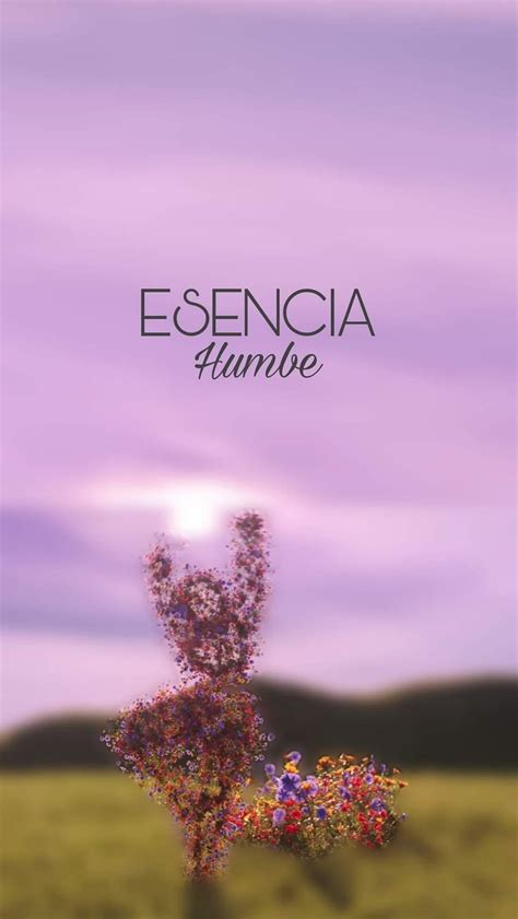 Humbe Esencia Fondos de sandias Fondos de pantalla libros Póster de