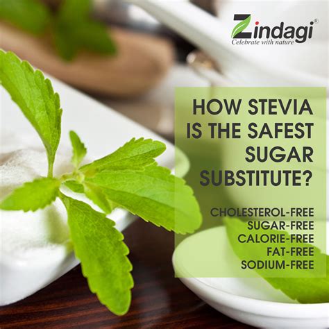 How Stevia is the Safest Sugar Substitute? - Zindagi - Celebrate With ...