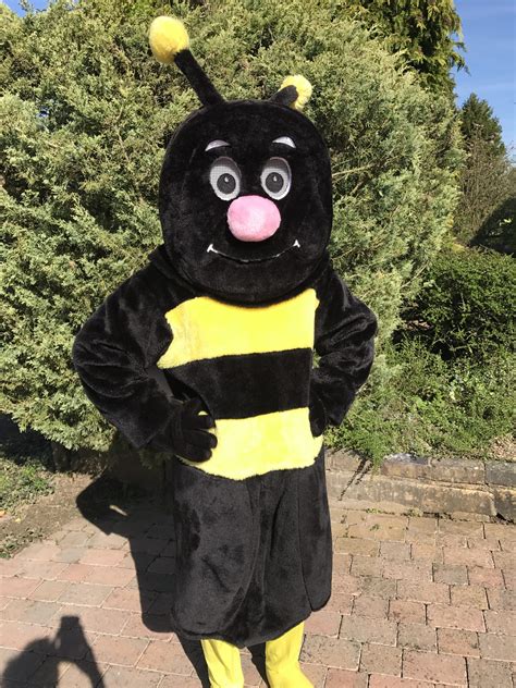 Masquerade Bumble Bee Mascot Costume For Hire Mascot Fancy Dress Costumes