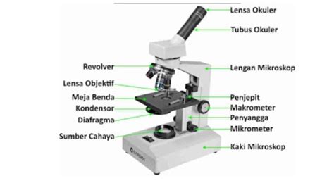 Mengenal Fungsi Mikroskop Binokuler - AGM MEDICA