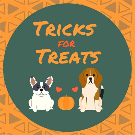 Tricks for Treats - Tips for Training Your Dog — Pet Vaccination Clinic