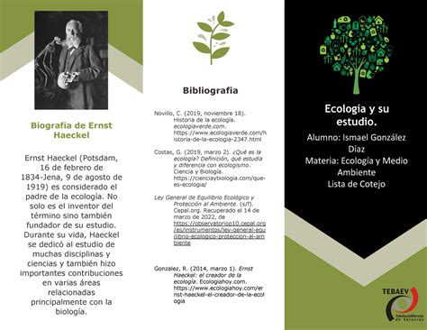 Triptico Ecologia uWu Ecología y su estudio Ernst Haeckel Potsdam