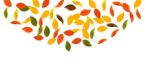 Falling Autumn Leaves Red Yellow Stock Illustration Illustration Of