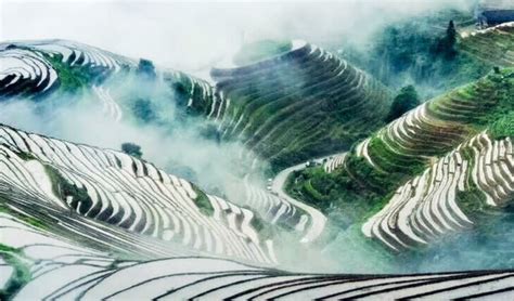 Longji Rice Terraces – Travel Asia Guide