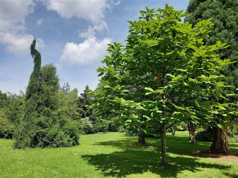 Ausflug Nach Ober Sterreich Botanischer Garten Frankenburg Salzburg