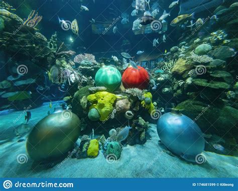 Interior View Of The Bass Pro Shops Editorial Stock Image Image Of