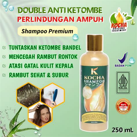 Jual Kocha Obat Shampoo Anti Ketombe Basah Dan Rambut Rontok Parah