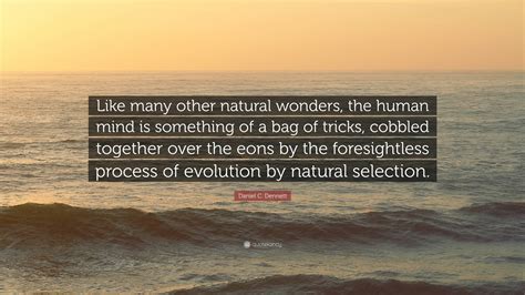 Daniel C Dennett Quote Like Many Other Natural Wonders The Human