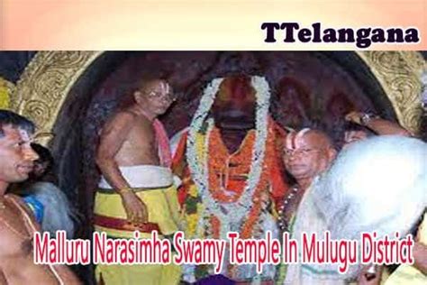 Malluru Narasimha Swamy Temple In Mulugu District - in 2023 | Districts ...