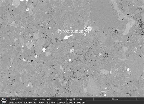 SEM images showing maceral types and related pores observed in... | Download Scientific Diagram