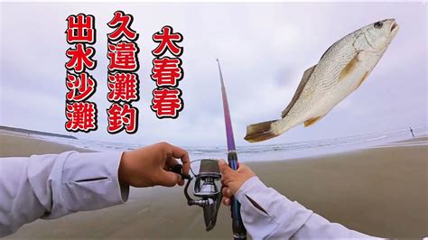 20240412出水沙灘 久違的灘釣 叫春了fishing 釣魚 苗栗釣魚 出水沙灘 遠投 沉底 灘釣 沙梭 Ydc中通竿