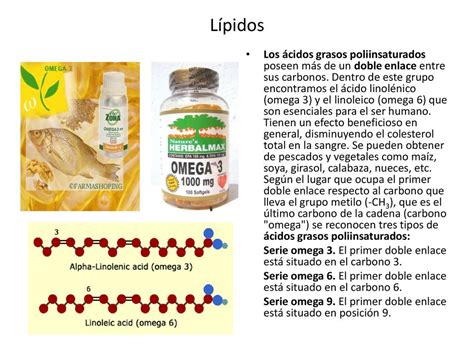 L Pidos Los L Pidos Son Biomol Culas Org Nicas Que Est N Formadas