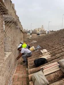 El Ayuntamiento De Valencia Repara El Muro De La Lonja