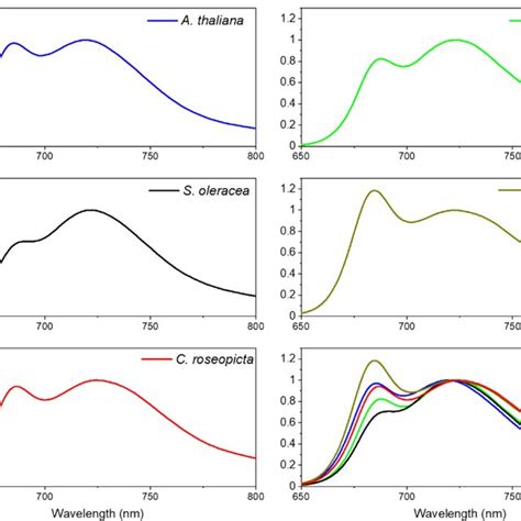 Overview Of Time Resolved Fluorescence Spectra λmax And Lifetimes A Download Scientific