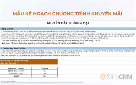 Mẫu Kế Hoạch Chương Trình Khuyến Mãi Chuẩn Chỉnh 2024