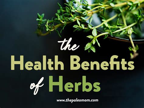 The Health Benefits Of Herbs The Paleo Mom