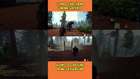 Como Domar Um Megat Rio No Ark Survival Evolved How To Tame A