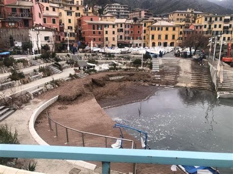 Nervi Le Alghe Arrivano Sul Nuovo Scalo Del Porticciolo Bogliolo