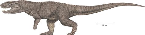 Life Restoration Of Postosuchus Kirkpatricki By Jeffrey Martz