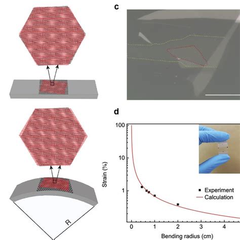 Heterostrain Enabled Dynamically Tunable Moir Superlattice In Tbg A