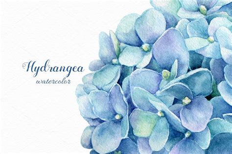 Watercolor blue hydrangea | Flower painting, Hydrangea painting ...