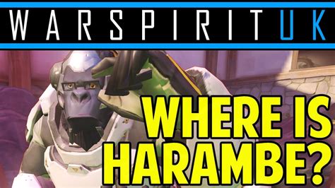 Overwatch Where Is Harambe Ranked Highlight Youtube