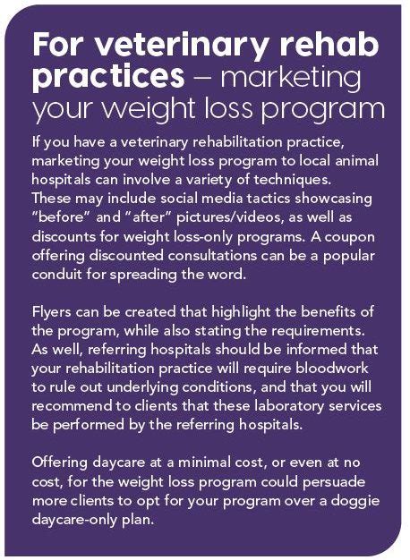 How Veterinary Rehabilitation Can Benefit Obese Dogs Animal Wellness