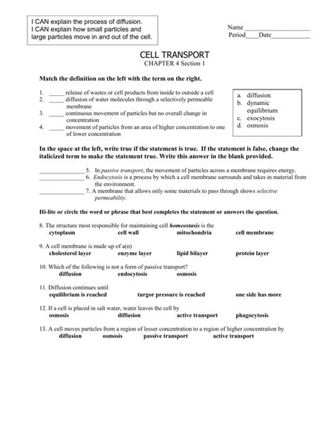 30 Cell Membrane And Transport Worksheet Biology Answer Key