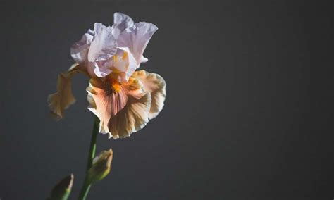 The Scary Thing That Can Happen To Your Vagina If You Don T Have Enough Sex