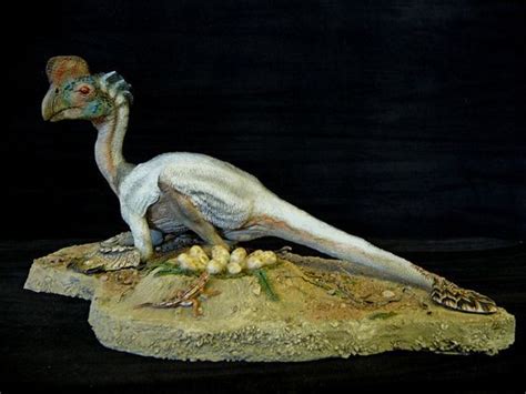 Oviraptor 1 By Baryonyx On Deviantart Paleo