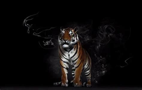 Aggressive Tiger With Smoke Effects And Black Textur Openart