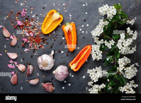Chilli Flower Hi Res Stock Photography And Images Alamy