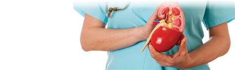 What Are The Symptoms Of Kidney Disease