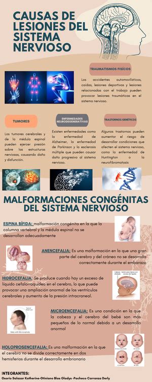 Pares Craneales NEUROPSICOLOGÍA UNIDAD I ORIGEN ORGANIZACIÓN Y