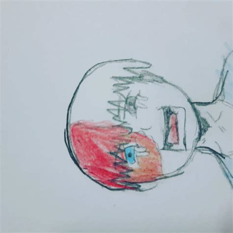 Shoto Todoroki | Wiki | My Hero Academia Amino