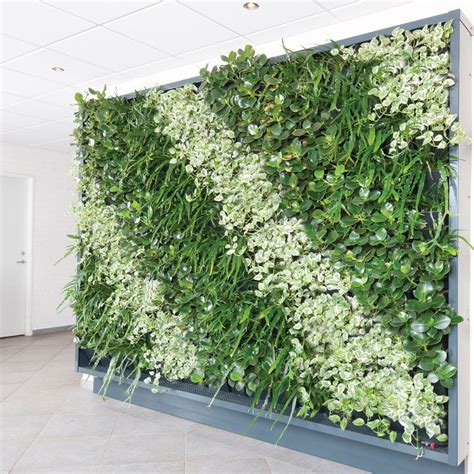 Stabilisierte Wandbegrünung Natural Greenwalls lebende Pflanzen