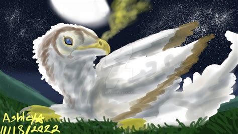 Owl dragon by qilinpokemon on DeviantArt