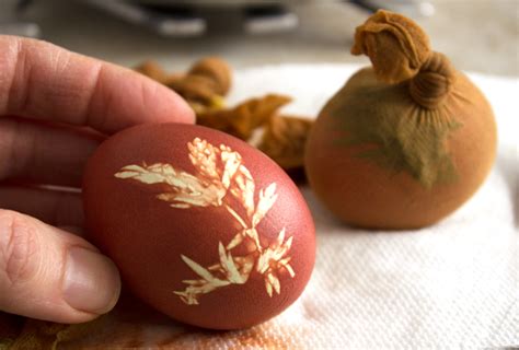 Onion Dyed Easter Eggs A Tasty Adventure