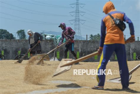 Wamentan Kenaikan HPP Gabah Selamatkan Petani Dari Tengkulak