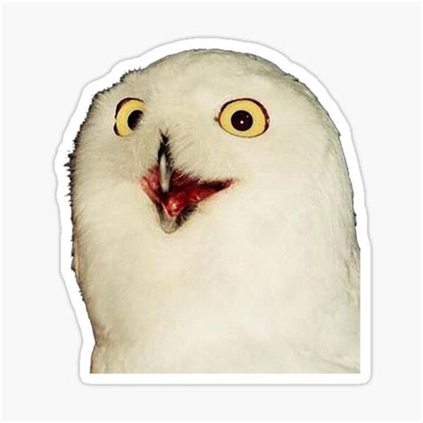 "O RLY? Owl " Sticker by FlashmanBiscuit | Redbubble