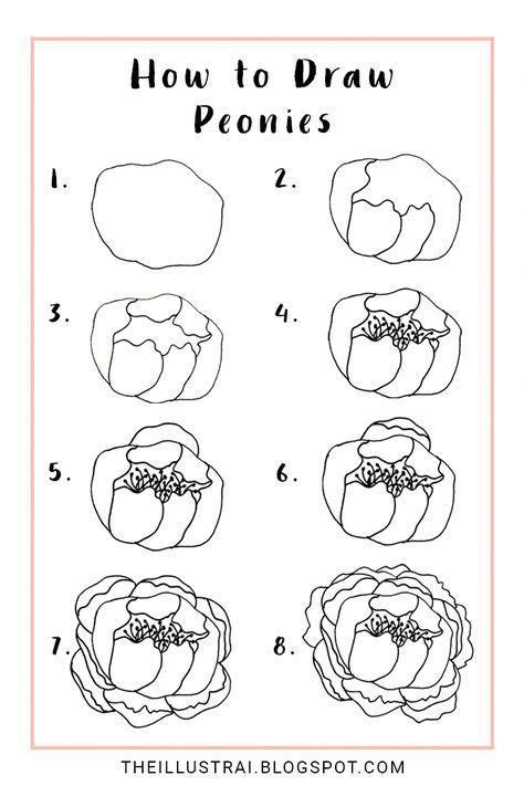 The Illustrai: How to Draw Peonies | Peony drawing, Flower drawing tutorials, Flower drawing