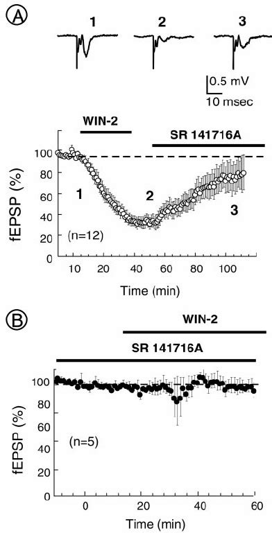 CB1 Receptor Mediated Inhibition Of Evoked Excitatory Synap Tic