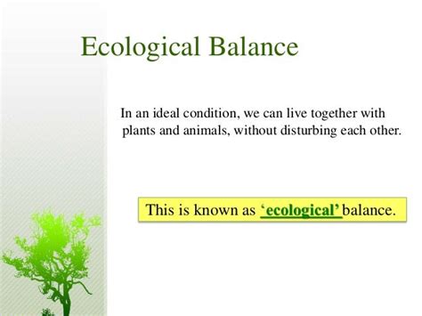 What Is Ecological Balance