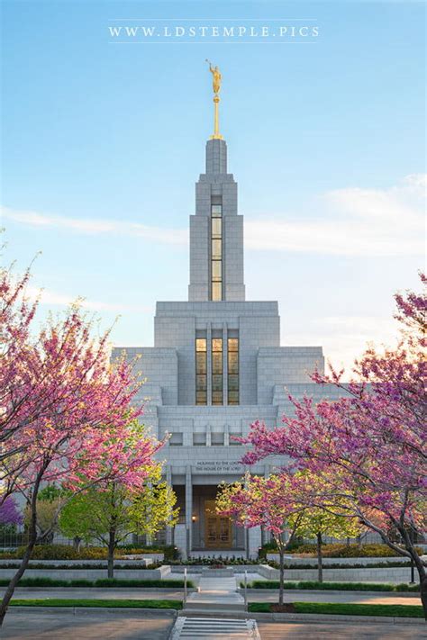 Draper Temple Spring Afternoon - LDS Temple Pictures