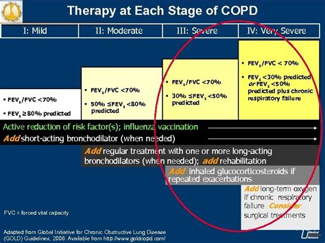 Cts Clinical Assessment Of Copd Questions To Ask